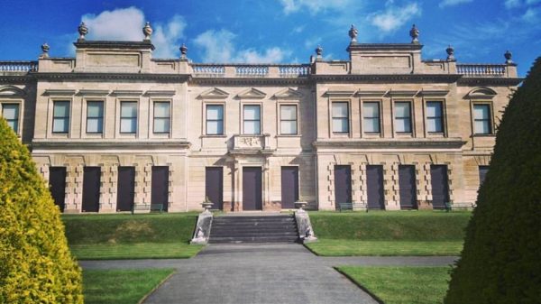 Brodsworth Bruin (33) - Afbeelding 4